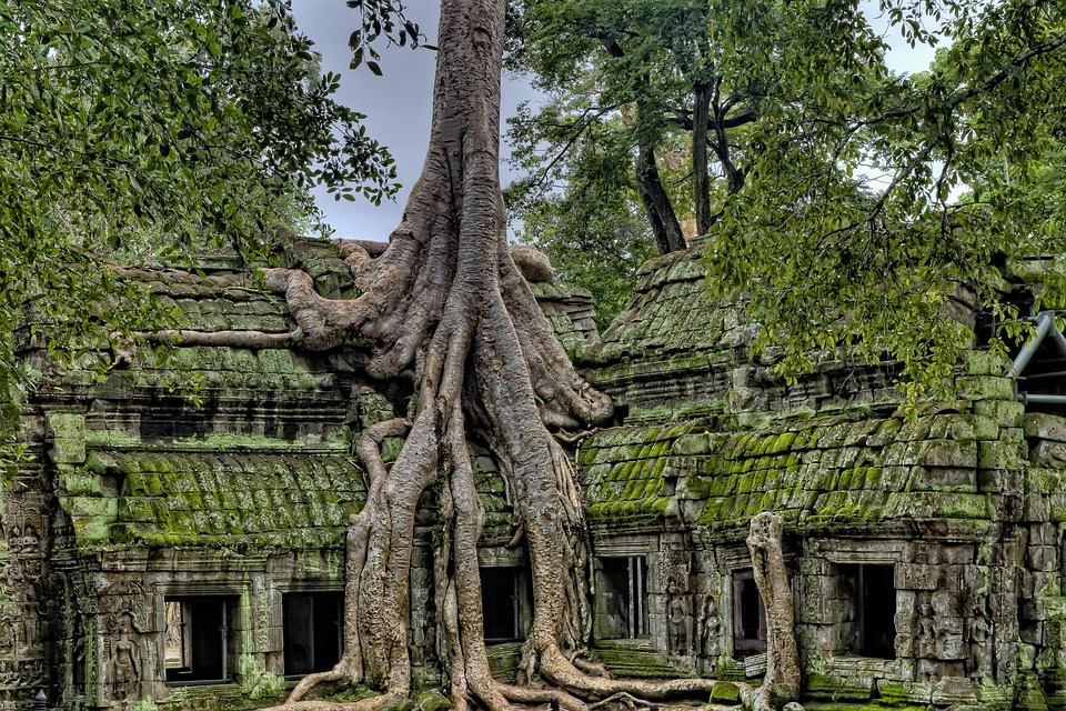 Why Cambodia Should Be Your Next Travel Destination: Hidden Gems and Tips