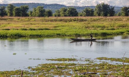 Why Zambia Is the Hidden Jewel of African Adventure Travel