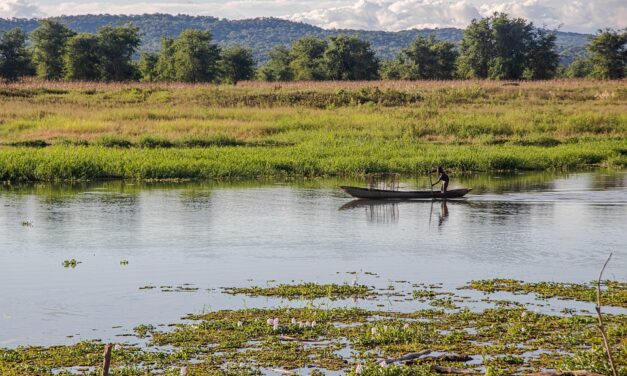 Why Zambia Is the Hidden Jewel of African Adventure Travel