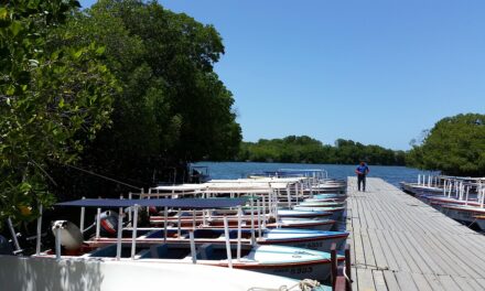 Your Guide to Exploring Venezuela: Unique Experiences and Unmissable Attractions