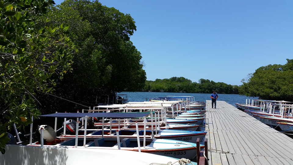 Your Guide to Exploring Venezuela: Unique Experiences and Unmissable Attractions