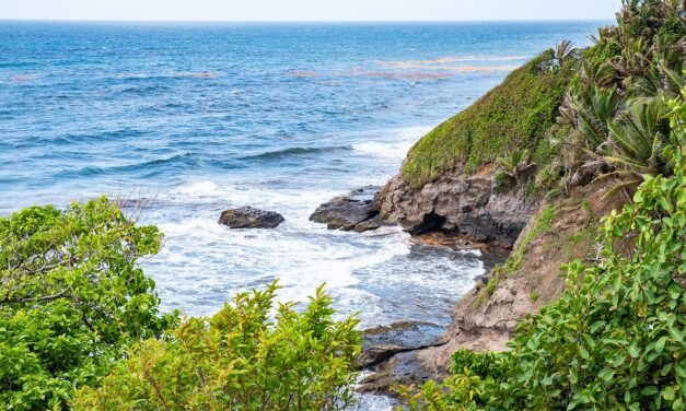 10 Fascinating Facts About Saint Vincent and the Grenadines That Will Spark Your Wanderlust