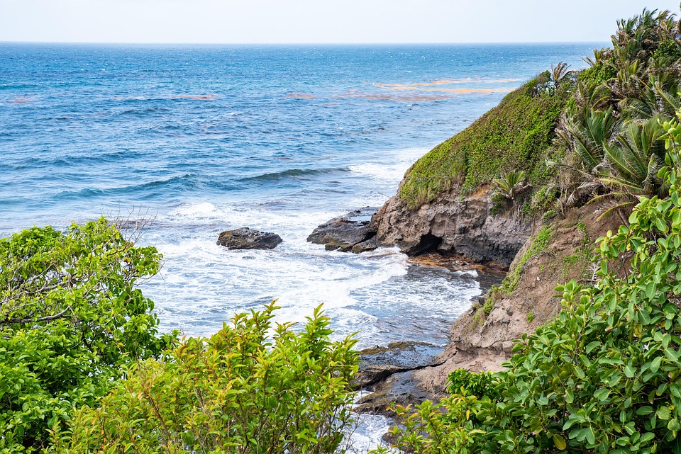 10 Fascinating Facts About Saint Vincent and the Grenadines That Will Spark Your Wanderlust