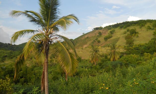 10 Hidden Gems in Haiti You Don’t Want to Miss on Your Next Caribbean Getaway
