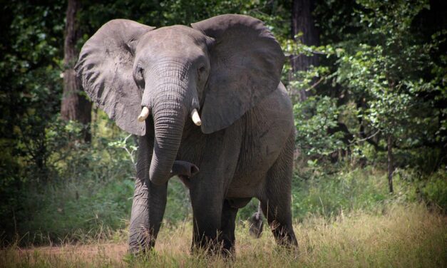 10 Hidden Gems in Malawi That Will Leave You Speechless