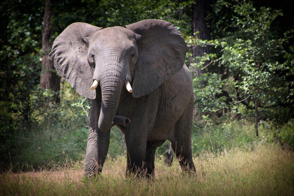 10 Hidden Gems in Malawi That Will Leave You Speechless