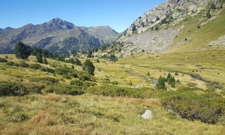 A Food Lover’s Guide to Andorra: Traditional Dishes You Can’t Miss