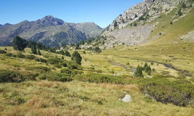 A Food Lover’s Guide to Andorra: Traditional Dishes You Can’t Miss