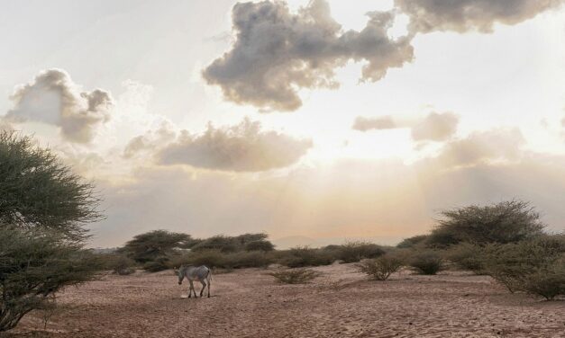 A Journey Through Djibouti: Where Culture Meets Stunning Natural Beauty