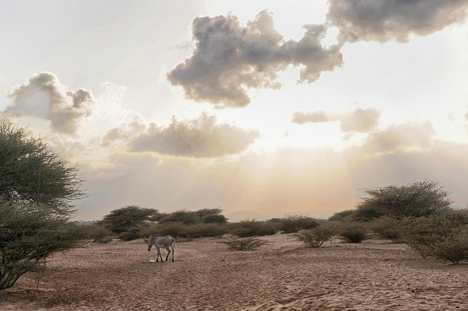A Journey Through Djibouti: Where Culture Meets Stunning Natural Beauty