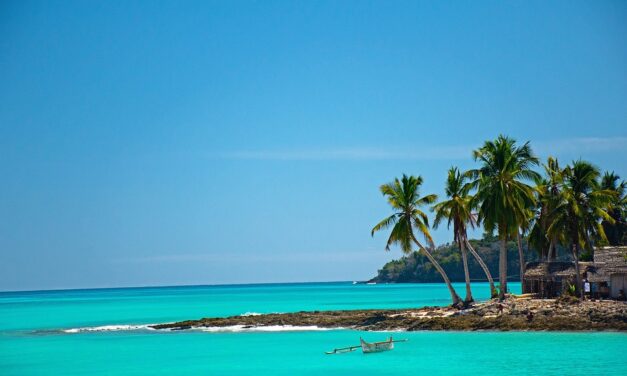 A Journey Through Madagascar: Tranquil Beaches, Exotic Wildlife, and More