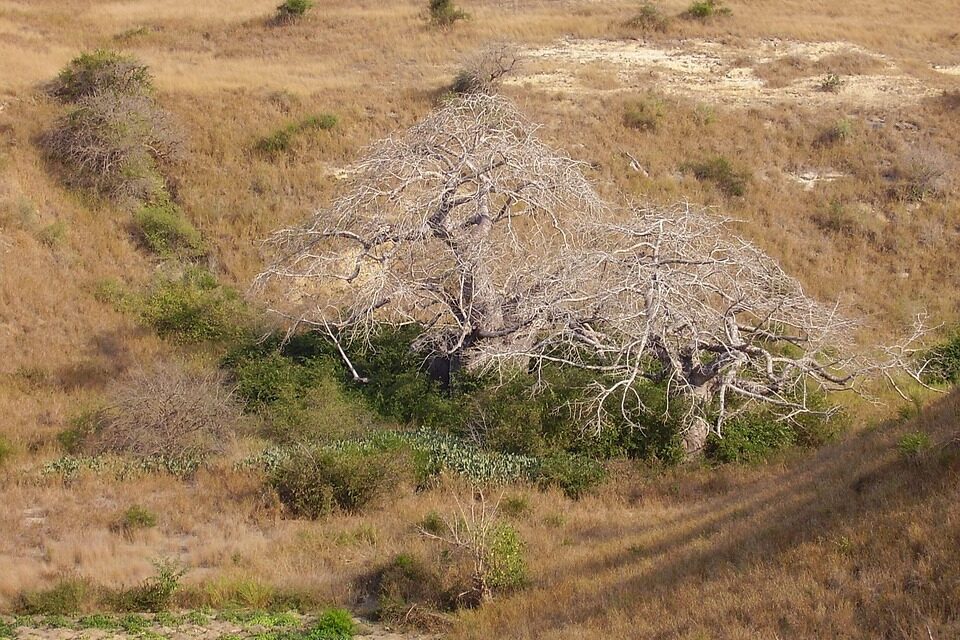 Angola Beyond Luanda: Hidden Destinations for the Adventurous Traveler