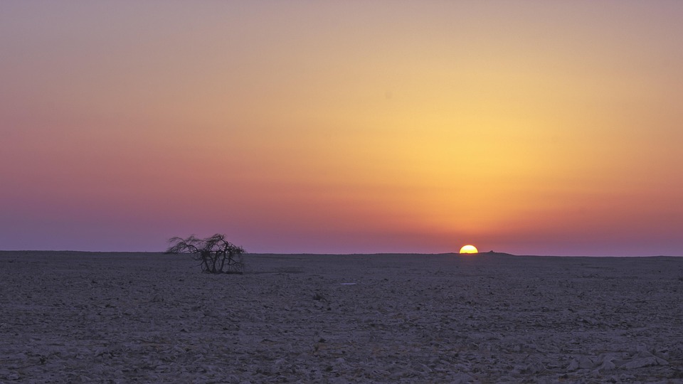 Bahrain for Curious Travelers: Exotic Adventures and Cultural Wonders Await