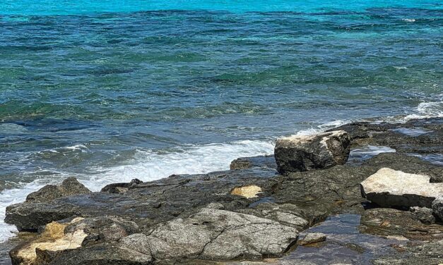 Diving into Vanuatu: Marine Treasures, Shipwrecks, and the World’s Coolest Snorkeling Spots