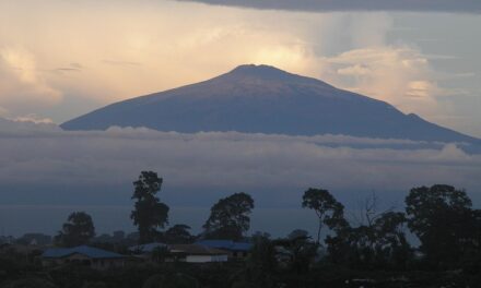 Equatorial Guinea’s Best-Kept Secrets: Beaches, Wildlife, and More