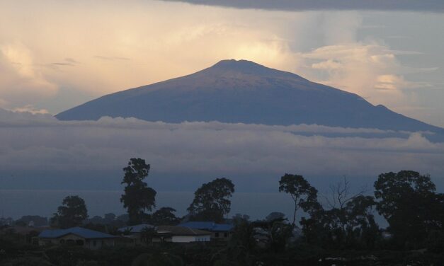 Equatorial Guinea’s Best-Kept Secrets: Beaches, Wildlife, and More
