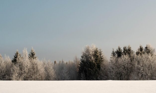 Finland’s Hidden Trails: Explore the Magic of its Untouched Wilderness