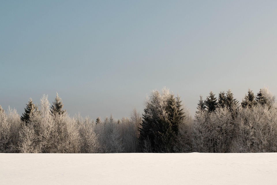 Finland’s Hidden Trails: Explore the Magic of its Untouched Wilderness