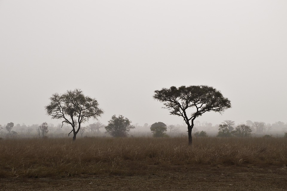 Local Secrets: Authentic Benin Adventures Off the Beaten Path