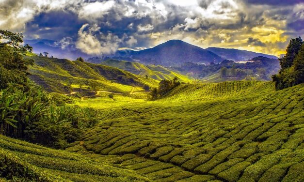 Malaysia on a Budget: Affordable Ways to Discover the Best of This Enchanting Nation