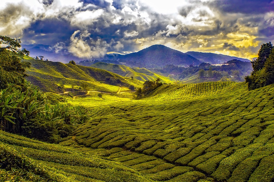 Malaysia on a Budget: Affordable Ways to Discover the Best of This Enchanting Nation