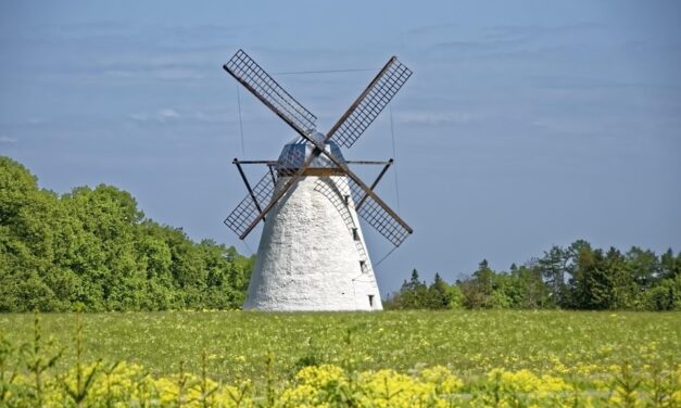 Step Back in Time: Explore Estonia’s Medieval Towns and Timeless Wonders”