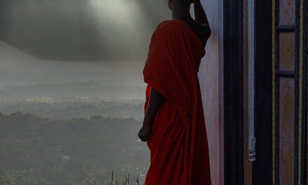 The Best Wildlife Experiences in Sri Lanka: Safaris, Marine Life, and Nature Reserves