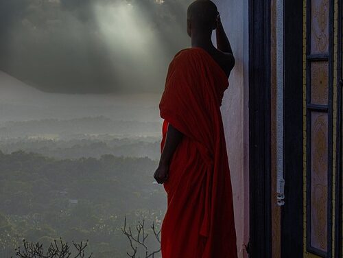 The Best Wildlife Experiences in Sri Lanka: Safaris, Marine Life, and Nature Reserves