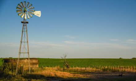 What Makes Uruguay a Must-Visit Destination? Hidden Charms and Expert Tips