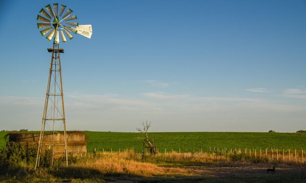What Makes Uruguay a Must-Visit Destination? Hidden Charms and Expert Tips