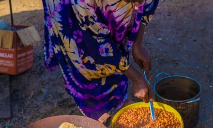 Wildlife, Culture, and Coastlines: 10 Reasons to Visit Beautiful Senegal