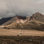 Beyond the Tourist Trail: Unique Places to See in New Zealand