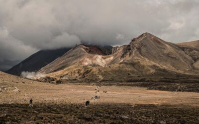 Beyond the Tourist Trail: Unique Places to See in New Zealand