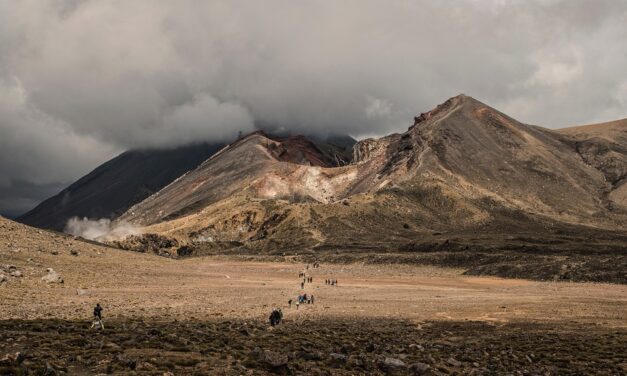 Beyond the Tourist Trail: Unique Places to See in New Zealand
