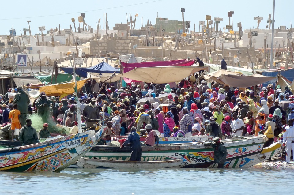 Discover Senegal: The Ultimate Travel Guide to Its Hidden Gems and Must-Sees