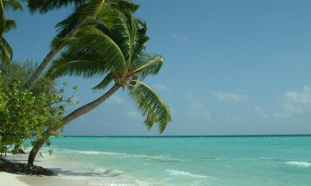 Escape to the Maldives: Expert Travel Hacks for a Perfect Island Holiday