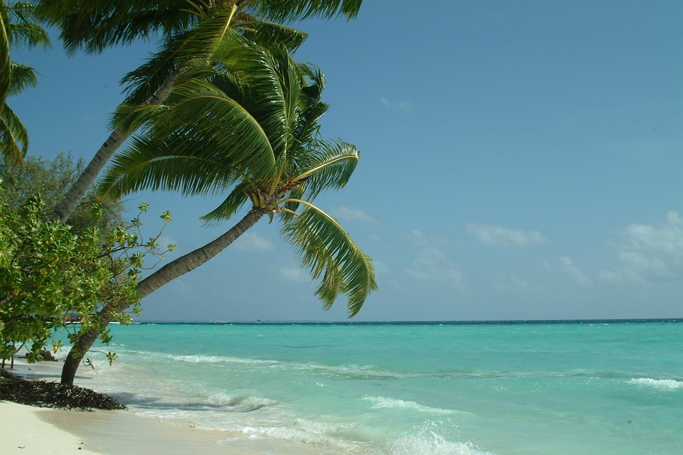 Escape to the Maldives: Expert Travel Hacks for a Perfect Island Holiday