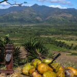 From Carnival to Culinary Delights: The Top Reasons to Visit Trinidad and Tobago