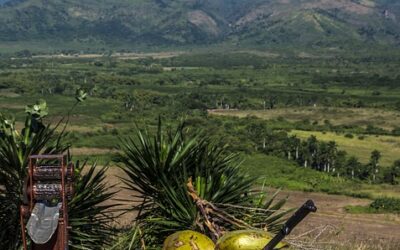 From Carnival to Culinary Delights: The Top Reasons to Visit Trinidad and Tobago
