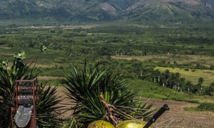 From Carnival to Culinary Delights: The Top Reasons to Visit Trinidad and Tobago