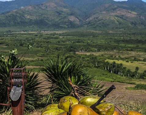 From Carnival to Culinary Delights: The Top Reasons to Visit Trinidad and Tobago