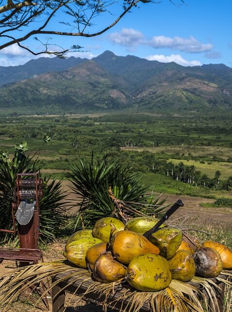 From Carnival to Culinary Delights: The Top Reasons to Visit Trinidad and Tobago