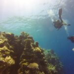 How to Plan the Perfect Trip to Palau: Insider Tips and Must-See Sights