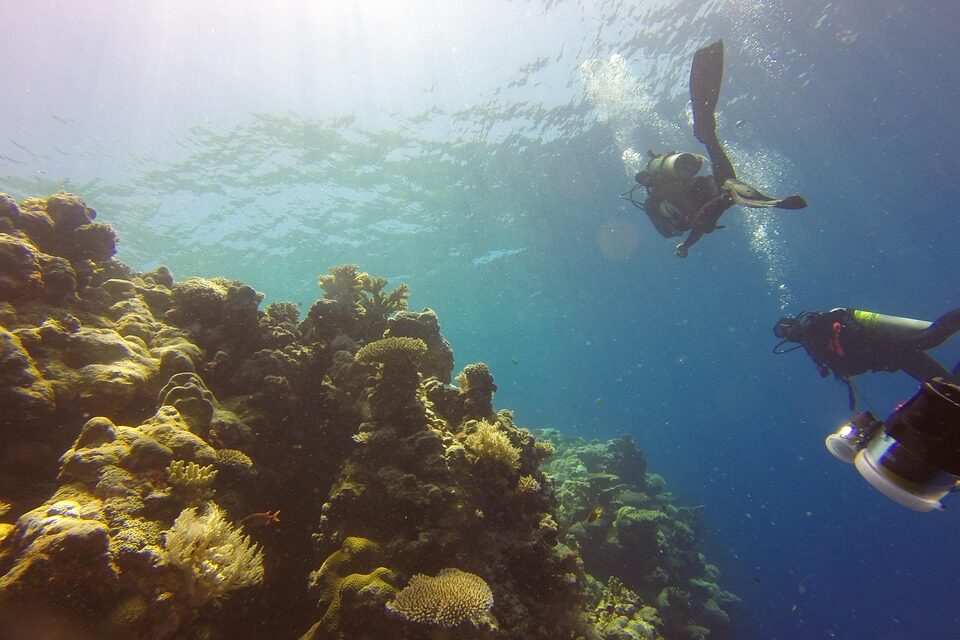 How to Plan the Perfect Trip to Palau: Insider Tips and Must-See Sights