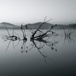 South Africa Travel Tips: Unlock the Best Experiences with Local Insight