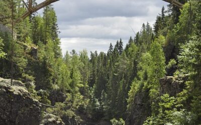 Sweden’s Best Kept Secrets: Hidden Destinations for Nature and History Lovers