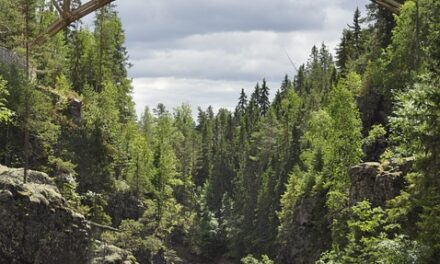 Sweden’s Best Kept Secrets: Hidden Destinations for Nature and History Lovers