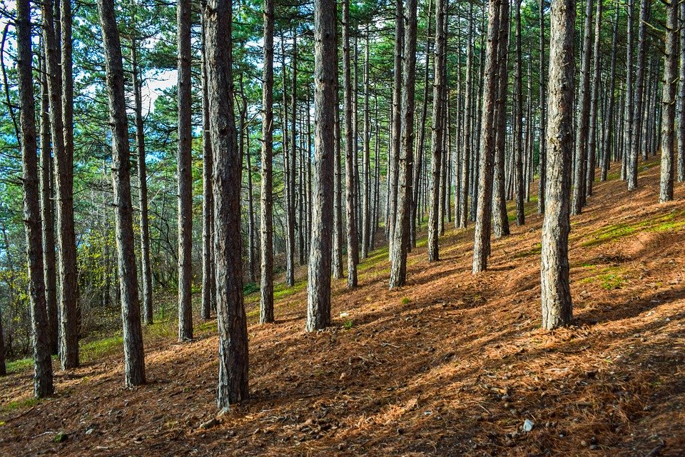 “Uncover the Magic of North Macedonia: Cultural Highlights and Natural Wonders to Explore”